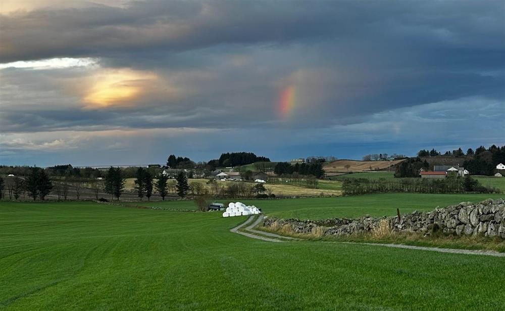 Gardsbesøk - Klikk for stort bilde