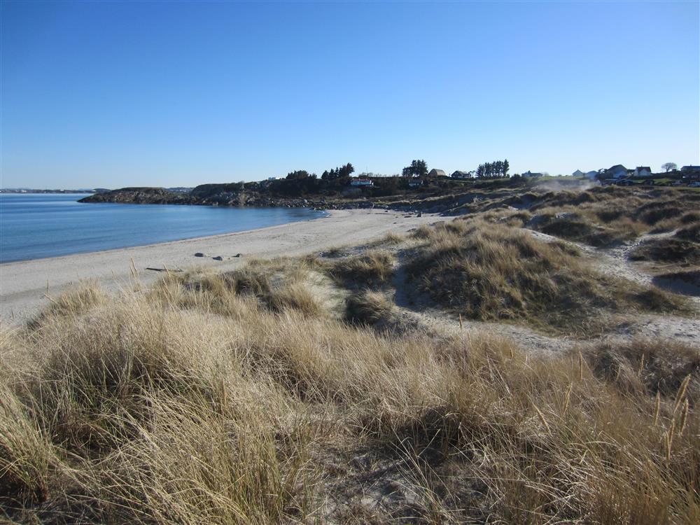 Ølbergstranden - Klikk for stort bilde