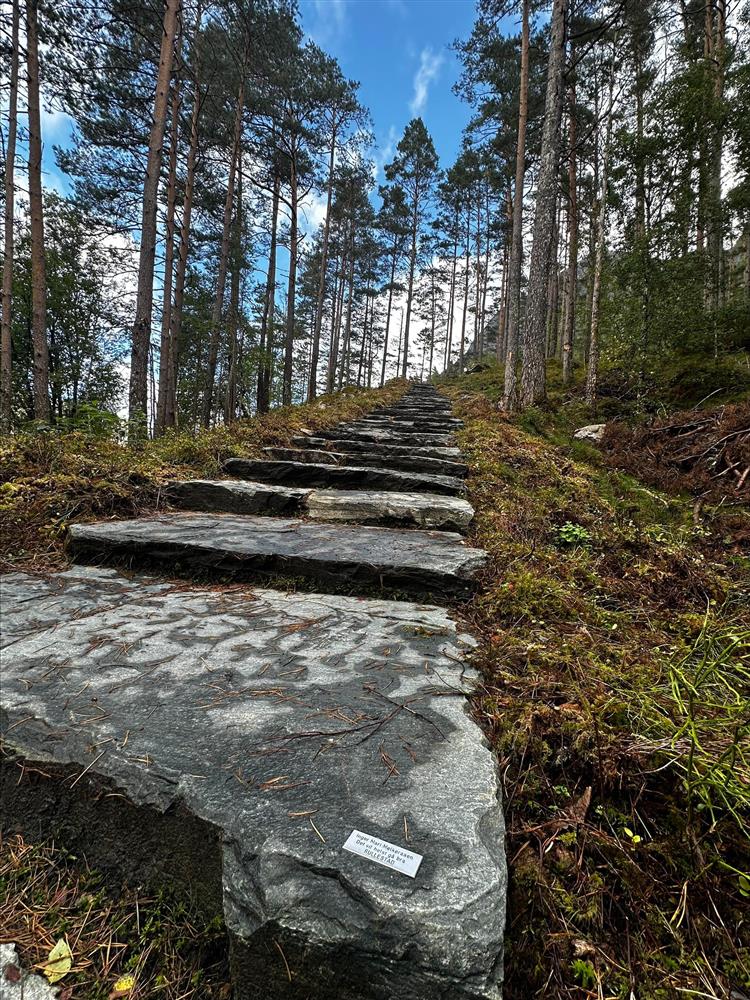 Klikk for stort bilde
