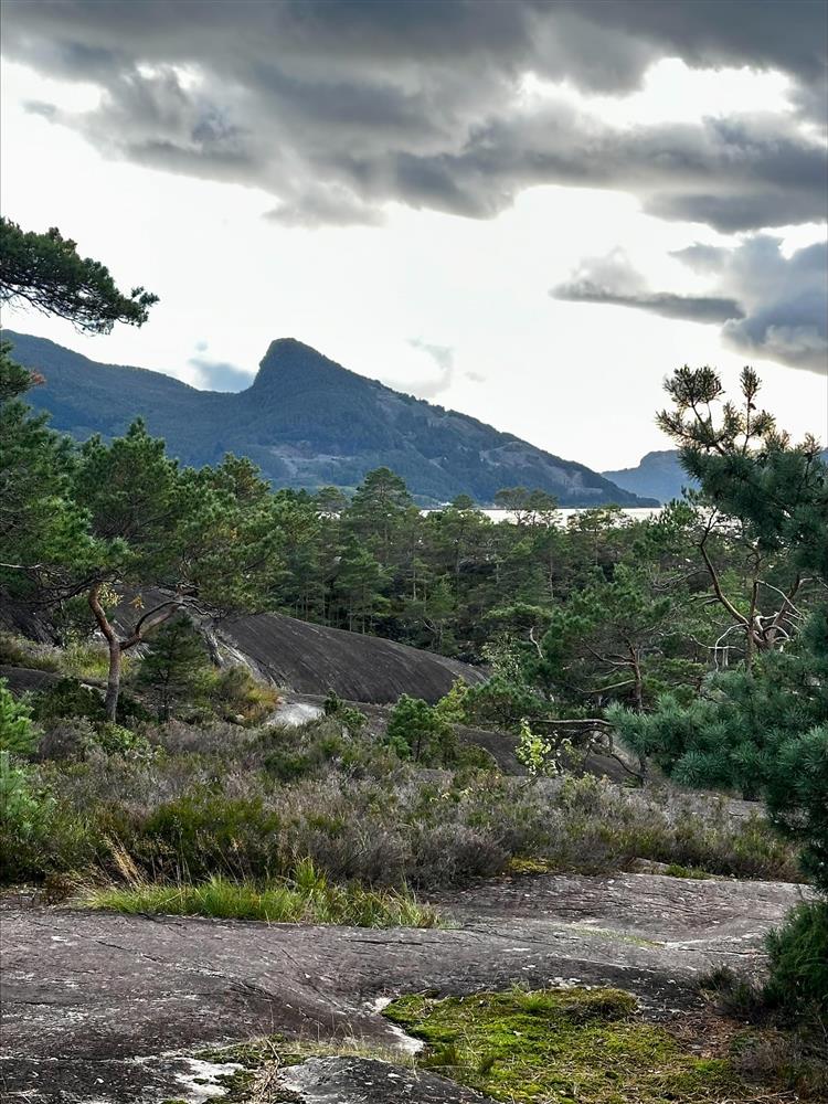 Klikk for stort bilde