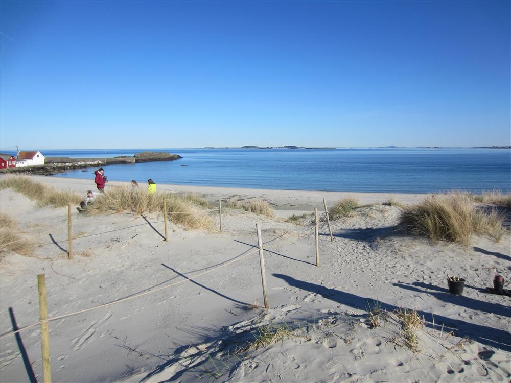 Ølbergstranden - Klikk for stort bilde